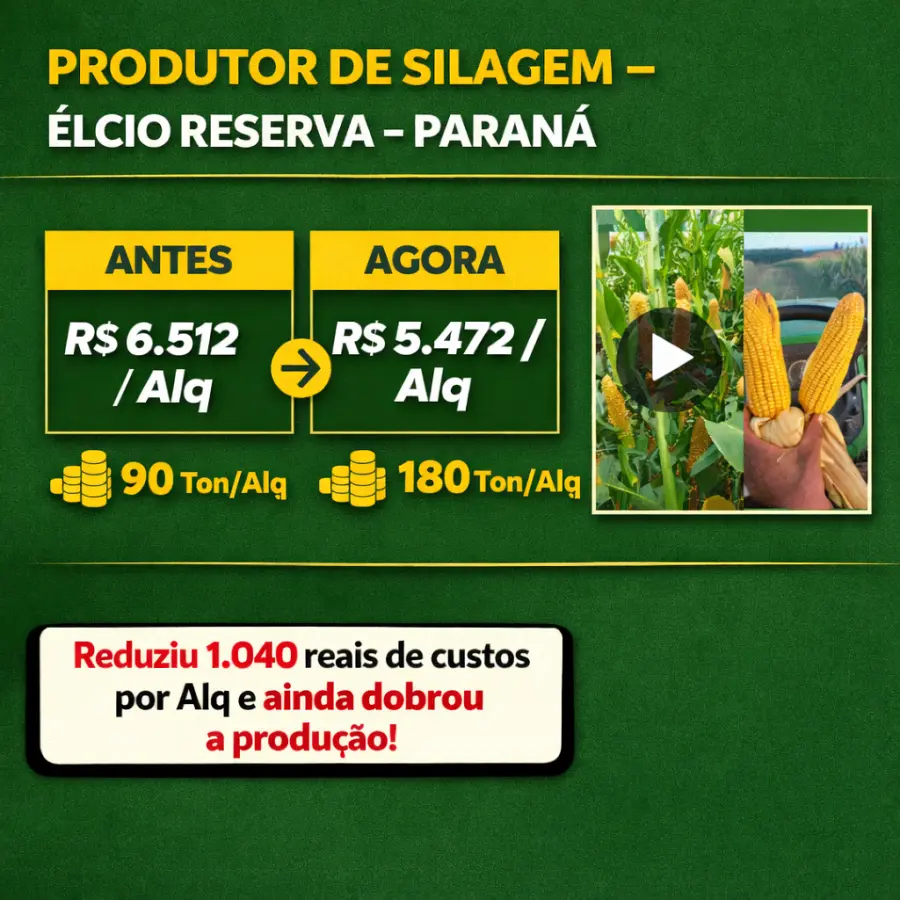 Caso Élcio — Silagem