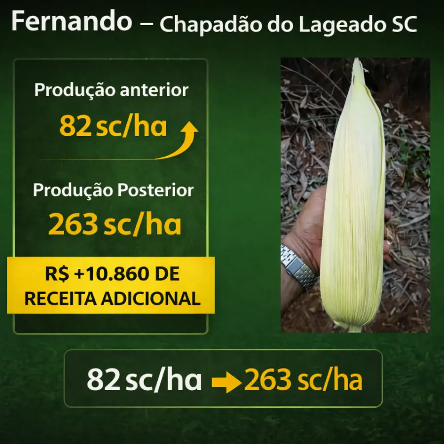 Caso Fernando