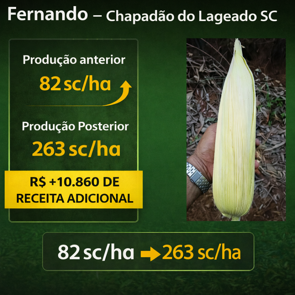 Resultado de produtor 2